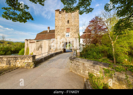 Zwingen Castello, cantone Basilea-Campagna, Svizzera. Foto Stock