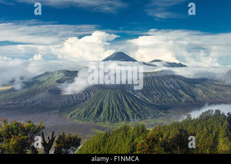 Monte Bromo e vulcani Batok in bromo Tengger Semeru National Park, Java Orientale, Indonesia. Foto Stock