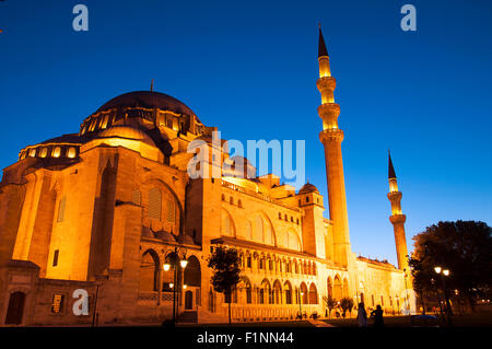 La Moschea di Suleymaniye di notte vista dal giardino della moschea Foto Stock