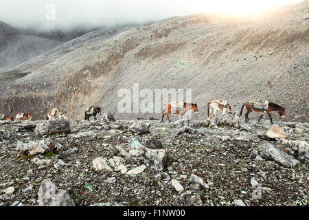 Trekking in Nepal Foto Stock