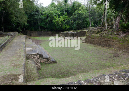 Un antico cortile in pietra circondato da una fitta giungla fuori del tempio Jaguar a Lamanai rovine Maya in Belize. Foto Stock