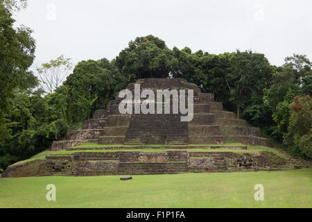 La metà anteriore della Jaguar tempio mostra una cancellata in mattoni e piramide di roccia con la schiena ancora coperta nella giungla a lama Foto Stock