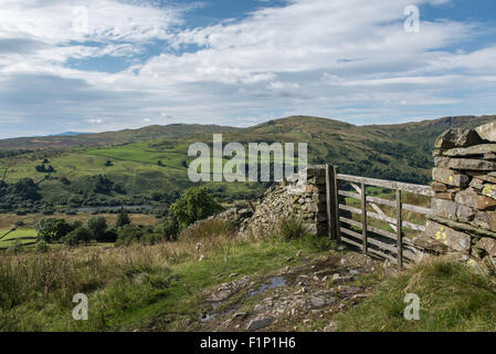 Guardando attraverso Kentmere fro verde quartiere cadde Foto Stock