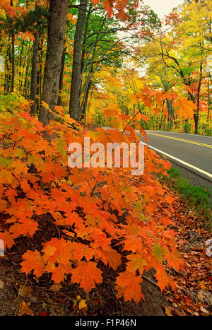 Strada nella penisola Keweenaw, Michigan, Stati Uniti d'America Foto Stock