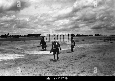 I lavoratori che lasciano dopo una giornata trascorsa sui campi di riso vicino a Timbuctù città, Mali Foto Stock