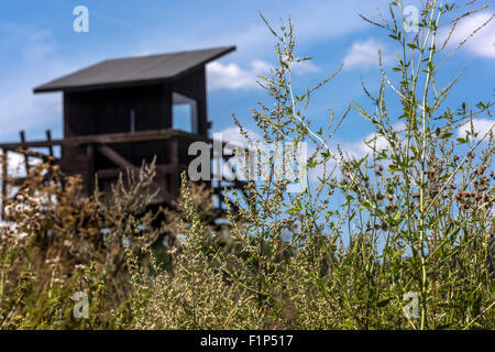 Vojna Memorial, Museo delle vittime del comunismo, vicino a Pribram, Repubblica Ceca, Europa, Torre di Guardia di legno comunismo cecoslovacco Foto Stock