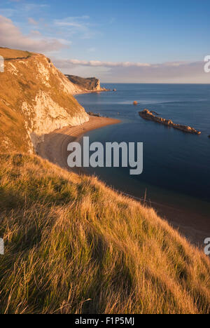 Man o' guerra all'interno della baia di St Oswald's Bay accanto alla porta di Durdle nelle vicinanze Lulworth su Dorset la Jurassic Coast, England, Regno Unito Foto Stock