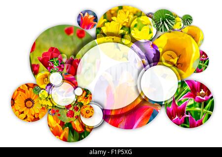 Concetto floreale. Cerchio di giardinaggio. Raffreddare la composizione di fiori cerchi solido su sfondo bianco. Perfetto per paesaggistica Compani Foto Stock