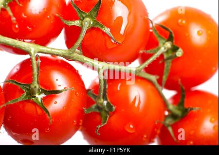 Rossi freschi frutti di pomodoro con gocce d'acqua. Sani e freschi ortaggi. Pomodori solido su sfondo bianco. Foto Stock