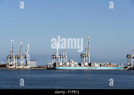 Deltaport container terminal #', Roberts Bank, Delta, British Columbia Foto Stock