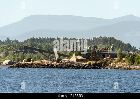 Fare segatura nei pressi di Nanaimo nella British Columbia Foto Stock