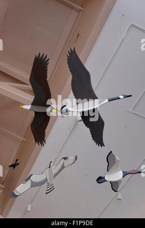 I mobili ornitologici raffigurano oche volanti illustrano una mostra al Museo marittimo di Chesapeake Bay a St. Michaels, MD. Foto Stock