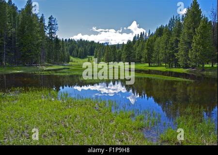 Piccolo Lago Yellowstone - Altopiano di Yellowstone. Scenario di Yellowstone Raccolta foto. Wyoming negli Stati Uniti. Foto Stock
