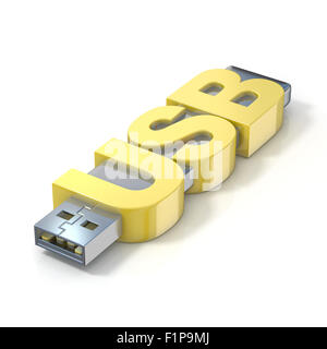 Memoria flash USB, fatta con la parola USB. 3D render illustrazione isolati su sfondo bianco Foto Stock