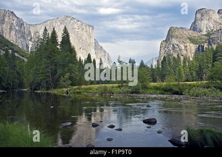 Merced River Yosemite National Park, California, U.S.A. Bella valle di Yosemite Paesaggio con fiume Merced. Estate nel Parco Nazionale di Yosemite Foto Stock