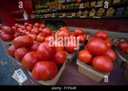 Pomodori alimentari pomodoro fresco di montagna varietà in vendita su un mercato di fattoria in Maryland Foto Stock