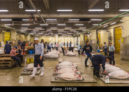 TOKYO, Giappone - 1 agosto 2015: ai potenziali acquirenti ispezionare il tonno viene visualizzato in corrispondenza del mercato Tsukiji. Tsukiji è considerato il mondo della la Foto Stock