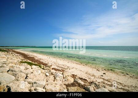 Bahia Honda. La maggior parte dei popolari sulla spiaggia della Florida Keys. Bahia Honda State Park, Florida USA Foto Stock