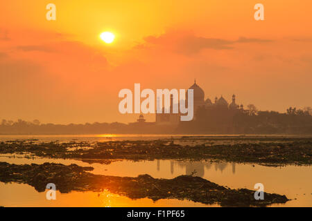 Un sunrise vista del Taj Mahal di Agra, India. Foto Stock