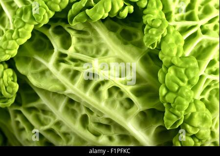 Crudo fresco cavolo Closeup fotografia macro ( Foto ) cavolo verde. Foto Stock