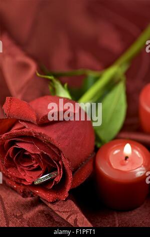Red Rose anello di fidanzamento. Candele rosse e Borgogna morbido tessuto di sfondo Foto Stock