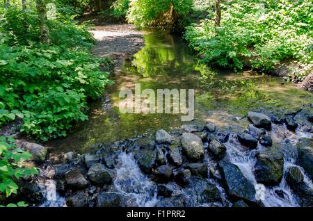 Piccolo fiume in South Park, Sofia Bulgaria Foto Stock