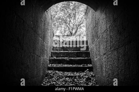 Uscita con scale da scuro abbandonato tunnel di calcestruzzo interno Foto Stock