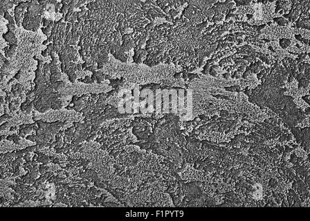 Bianco e nero parete goffrata texture. texture di sfondo. Elemento di design Foto Stock