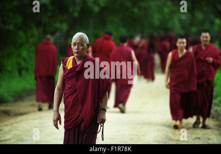 Buddisti Tibetani a piedi di sera su un giorno fuori dagli studi presso il Drepung Gomang monastero nel sud-ovest dell'India. India, Tibetani, esiliati, esilio, Buddismo, buddista, religione, spiritualità, Asia del sud, Asia orientale, estremo oriente, passeggiate rilassanti, percorso, illuminismo, mala, strada sterrata, spirituale, viaggio, Foto Stock