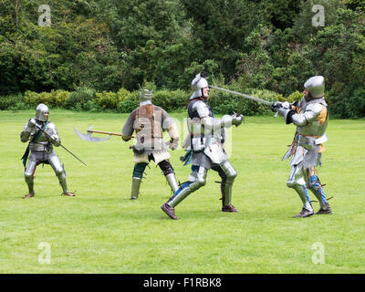 Cavalieri in armatura scintillante combattimenti Foto Stock