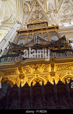 Organo a canne e barocco in legno di mogano intagliato sedili con soffitto a volta del coro della cattedrale di Cordoba moschea Foto Stock
