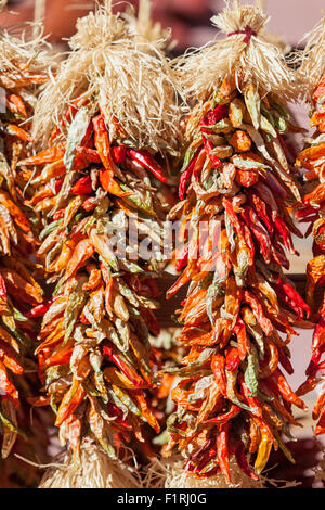 Gruppi di piccole colorate il peperoncino appeso su stringhe nel sole sono in vendita in un mercato aperto in Nuovo Messico. Foto Stock