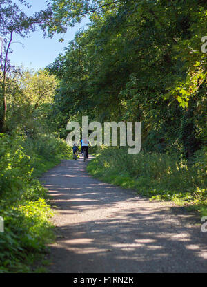 A nord del Dorset Trailway Foto Stock