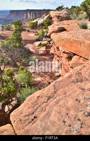 Vista dal lato ovest del Grand View Point in Isola di cielo distretto di Canyonlands National Park nello Utah Foto Stock