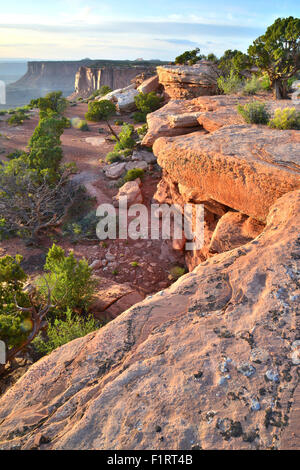 Vista dal lato ovest del Grand View Point in Isola di cielo Distretto del Parco Nazionale di Canyonlands vicino a Moab, Utah Foto Stock