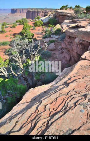 Vista dal lato ovest del Grand View Point in Isola di cielo Distretto del Parco Nazionale di Canyonlands vicino a Moab, Utah Foto Stock