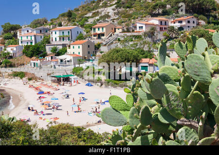 Spiaggia di Seccheto, Isola d'Elba, Provincia di Livorno, Toscana, Italia, Europa Foto Stock