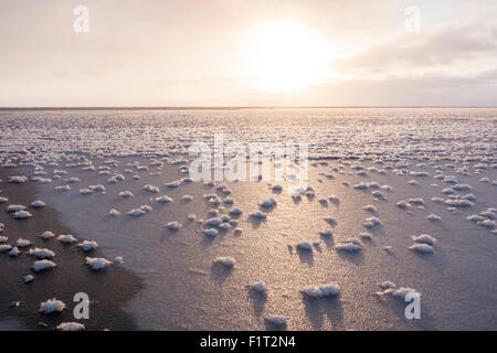 Fiori di brina formata sul mare sottile di ghiaccio quando il clima è molto più freddo del ghiaccio sottostante, Groenlandia, Danimarca Foto Stock