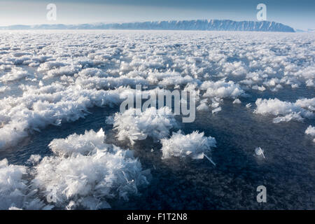 Fiori di brina formata sul mare sottile di ghiaccio quando il clima è molto più freddo del ghiaccio sottostante, Groenlandia, Danimarca Foto Stock