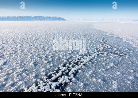 Fiori di brina formata sul mare sottile di ghiaccio quando il clima è molto più freddo del ghiaccio sottostante, Groenlandia, Danimarca Foto Stock