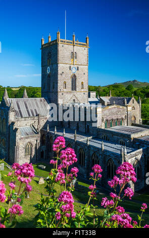 St Davids Cathedral, Pembrokeshire, Wales, Regno Unito, Europa Foto Stock