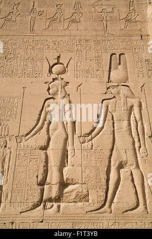 Il sollievo di Cleopatra e Horus, tempio di Hathor, Dendera, Egitto, Africa Settentrionale, Africa Foto Stock