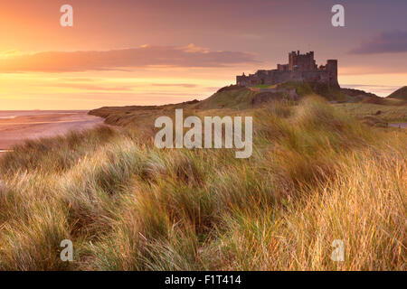 Sunrise oltre le dune a Bamburgh Castle in Northumberland, Inghilterra. Foto Stock