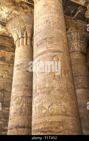 Le colonne in Hypostyle Hall, Tempio di Horus Edfu, Egitto, Africa Settentrionale, Africa Foto Stock