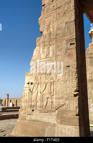 In bassorilievo su pareti, Tempio di Haroeris e Sobek, Kom Ombo, Egitto, Africa Settentrionale, Africa Foto Stock