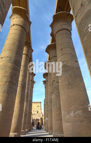 Il Colonnato di Amenofi III, Tempio di Luxor, Luxor, Tebe, Sito Patrimonio Mondiale dell'UNESCO, Egitto, Africa Settentrionale, Africa Foto Stock