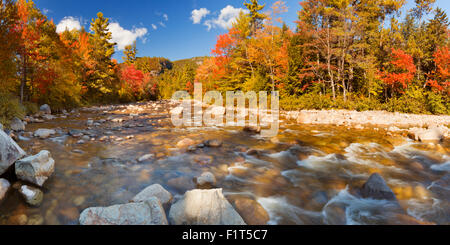 Multi-colore di caduta delle foglie lungo un fiume. Fotografato alla Swift River, White Mountain National Forest in New Hampshire, STATI UNITI D'AMERICA Foto Stock