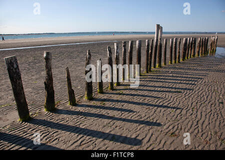 Posti di legno in spiaggia con la bassa marea, West Wittering Beach, nel distretto di Chichester West Sussex, in Inghilterra, Regno Unito Foto Stock