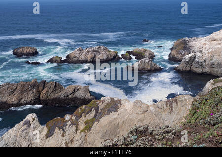 Bodega penisola di testa fuori costa del Pacifico in California e costa rocciosa Foto Stock