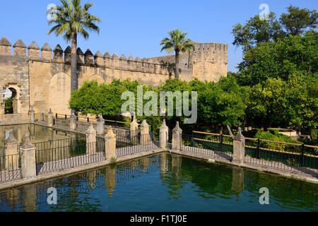 Funzione di acqua nei giardini dell'Alcazar de los Reyes Cristianos a Cordoba, Andalusia, Spagna Foto Stock